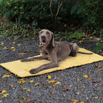 TLX-8279680 Portable Roll-Up Travel Dog Bed for Camping and Outdoor Use, Waterproof Polyester Fiber, Lightweight and Easy to Clean - Image 6