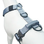 TLX-2244608 No-Pull Padded Tactical Dog Harness for Training and Outdoor Walks, Nylon, Available in Multiple Sizes - Image 3