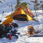 TLX-8345216 Waterproof Portable Dog Sleeping Bag, Versatile Dog Accessory for Home and Travel - Image 6