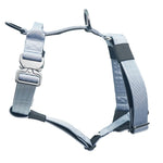 TLX-2244608 No-Pull Padded Tactical Dog Harness for Training and Outdoor Walks, Nylon, Available in Multiple Sizes - Image 1