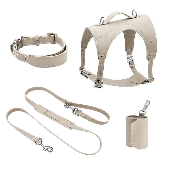Daily Leash for Dogs