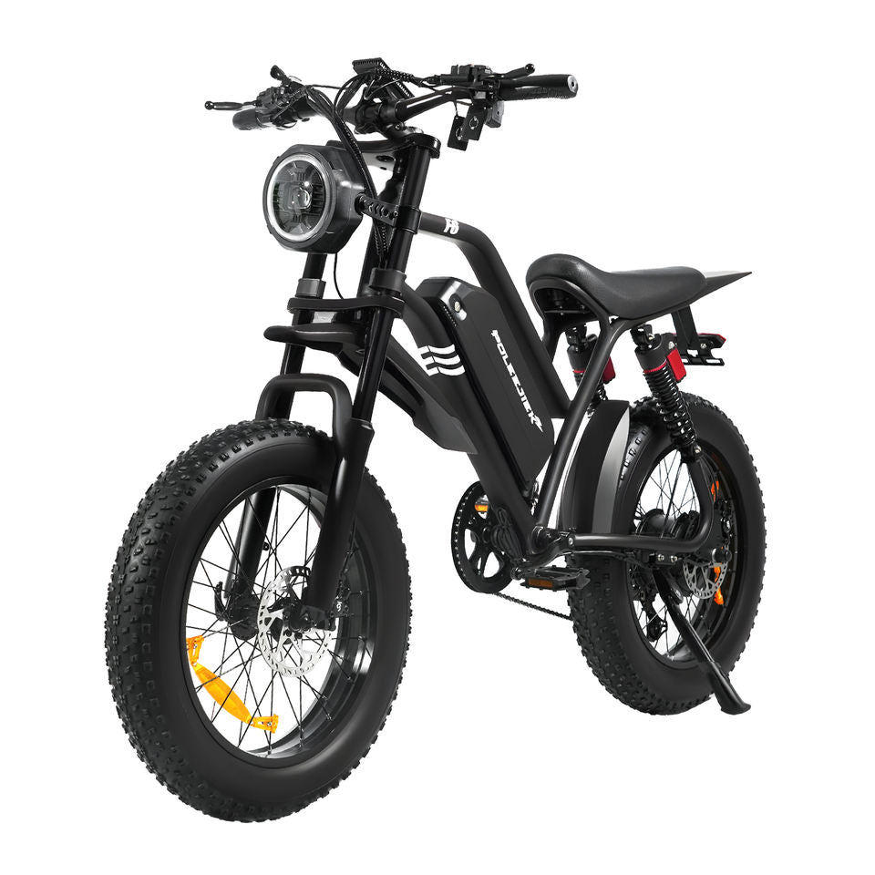 20 Inch Fat Tire Mountain Electric Bike 1500W