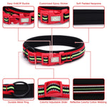 TLX-3462784 Padded Quick-Release Dog Trail Collar, Cotton Webbing, Colorful Buckle, Multiple Sizes and Colors - Image 3