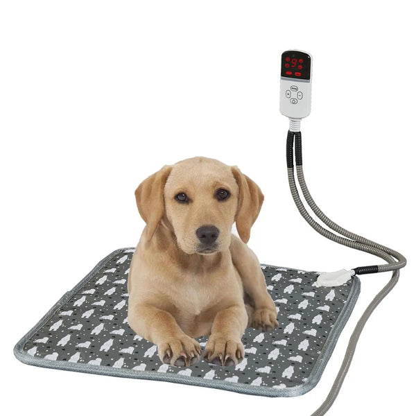 Waterproof Outdoor Blanket for Dogs