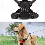 TLX-5068416 No-Pull Adjustable Reflective Safety Vest for Dogs, Versatile Dog Accessory for Home and Travel - Image 4