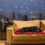 TLX-8640128 Waterproof Foldable Outdoor Sleeping Pad for Dogs and Cats, Washable Cotton, Portable Pet Mattress, 90x60cm/120x80cm - Image 5