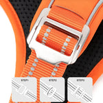 TLX-1818624 Reflective Padded Vehicle Safety Harness for Dogs, Stylish Design for Everyday Pet Care - Image 2