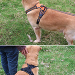 TLX-5068416 No-Pull Adjustable Reflective Safety Vest for Dogs, Versatile Dog Accessory for Home and Travel - Image 5