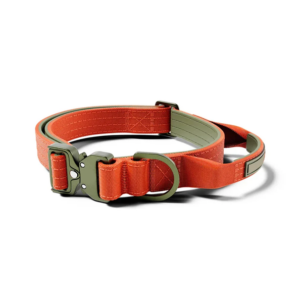 No-Pull Padded Tactical Dog Harness - for Training & Outdoor Walks