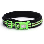 TLX-3462784 Padded Quick-Release Dog Trail Collar, Cotton Webbing, Colorful Buckle, Multiple Sizes and Colors - Image 8