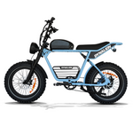 Load image into Gallery viewer, 20 Inch Fat Tire Mountain Electric Bike 750W Steel
