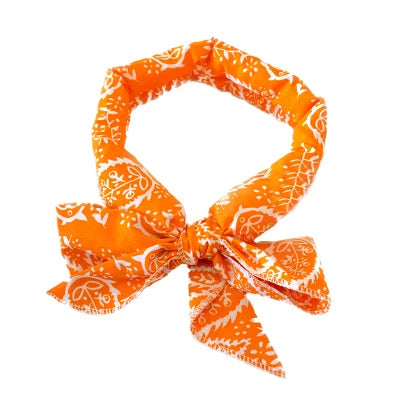 Cooling Bandana for Dogs
