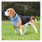 TLX-6995968 Cooling Bandana for Dogs - Plaid Pattern - Polyester - Size 5.8"x15.8" - Available in Blue, Pink, Yellow, Green - Image 6