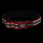 TLX-3462784 Padded Quick-Release Dog Trail Collar, Cotton Webbing, Colorful Buckle, Multiple Sizes and Colors - Image 5