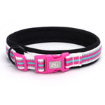 TLX-3462784 Padded Quick-Release Dog Trail Collar, Cotton Webbing, Colorful Buckle, Multiple Sizes and Colors - Image 9