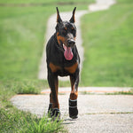 TLX-5985920 Waterproof Protective Socks for Dogs, Convenient and Functional Pet Gear - Image 2