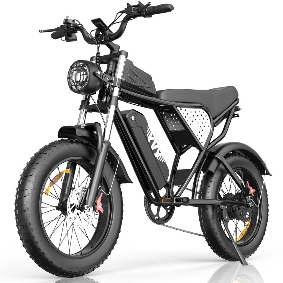 20 Inch Fat Tire Electric Mountain Bike 48V 20Ah Rear Hub Motor Full Suspension