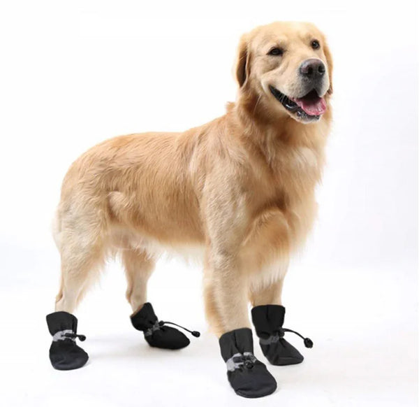 Waterproof Protective Socks for Dogs