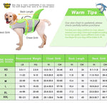 TLX-4374528 Breathable Mesh Dog Life Jacket for Swimming and Boating, Adjustable and Lightweight, Striped Design - Image 6