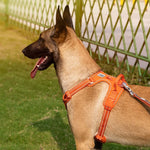 TLX-1818624 Reflective Padded Vehicle Safety Harness for Dogs, Stylish Design for Everyday Pet Care - Image 4
