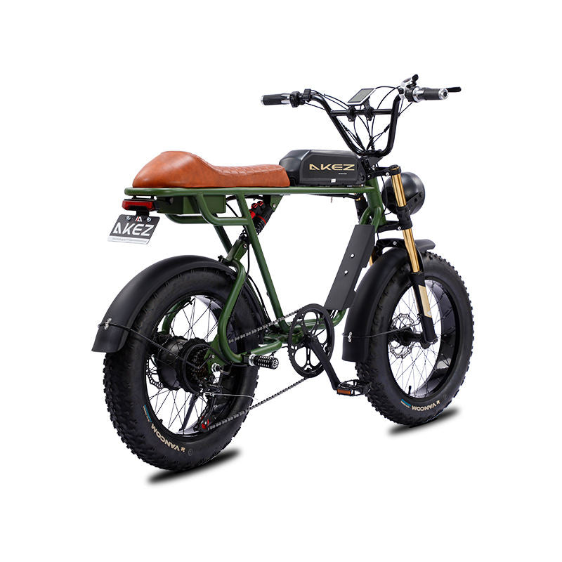 20 Inch Electric Mountain Bike 750W 48V 7-Speed Steel Frame Rear Disc Brake