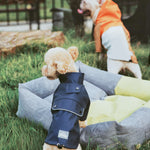 TLX-9355264 Waterproof Breathable Mesh Reflective Dog Coat and Jacket for All Seasons, Essential Supplies for Outdoor and Indoor Use - Image 5