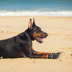 TLX-5985920 Waterproof Protective Socks for Dogs, Convenient and Functional Pet Gear - Image 4