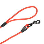 TLX-4571136 Waterproof PVC Dog Leash for Tiny, Medium, and Large Breeds, Stylish Design for Everyday Pet Care - Image 2