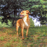 TLX-5691008 Reflective Adjustable Hiking Dog Boots in Orange, Durable Nylon, Sizes S/M/L/XL/XXL - Image 6