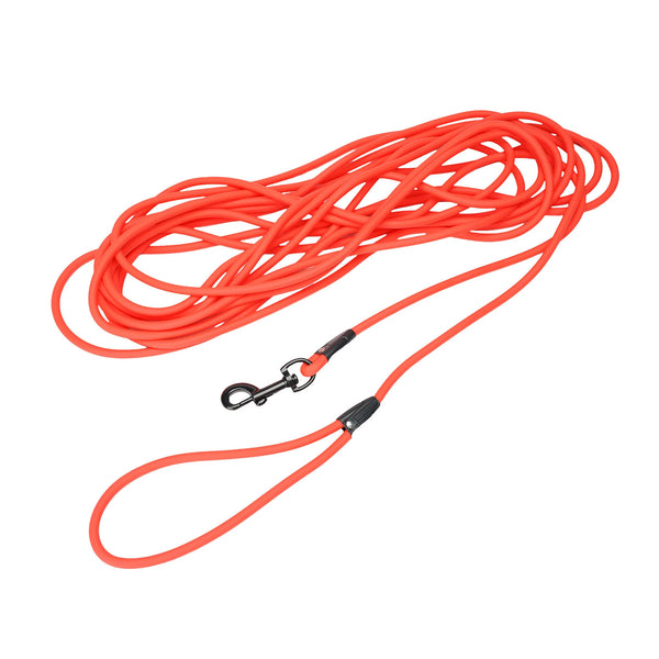 Waterproof Water Leash for Dogs