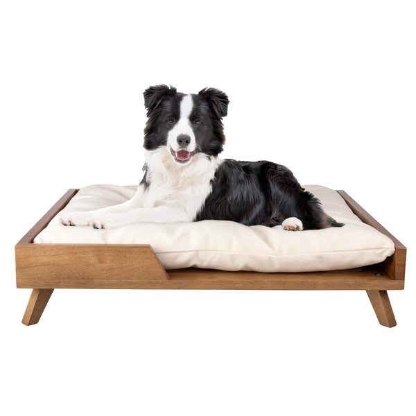 Padded Elevated Sand Resistant Dog Bed