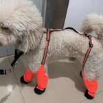 TLX-5920384 Waterproof Adjustable Hiking Dog Boots, Versatile Dog Accessory for Home and Travel - Image 2