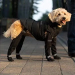 TLX-5854848 Adjustable Waterproof Hiking Dog Boots for Outdoor Adventures, Practical Pet Supplies for Daily Use - Image 6