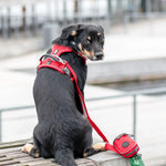 TLX-0943232 No-Pull Reflective Tactical Dog Harness for Training and Outdoor Activities, Adjustable, Lightweight, Breathable Air Mesh, Padded Cushion, Solid Pattern, Suitable for Dogs XS-XL - Image 5