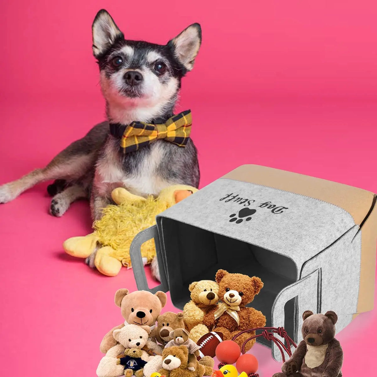 Foldable portable organizer for dogs
