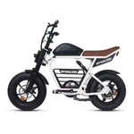 Load image into Gallery viewer, Retro Vintage Electric Bike 750W 48V 16Ah High-Carbon Steel Hydraulic Disc 7-Speed

