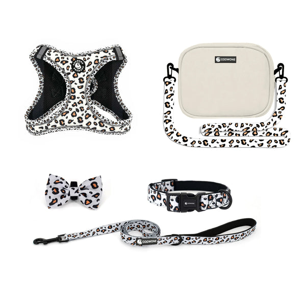 Reflective Padded Adventure Leash for Dogs