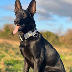 TLX-0212992 Tactical Dog Harness for Training and Outdoor Walks with LED Collar Light, Durable Nylon, Multiple Sizes - Image 6