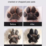 TLX-6379136 Beeswax Paw Balm for Dogs and Cats, Essential Supplies for Outdoor and Indoor Use - Image 3