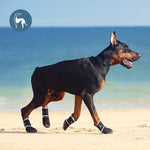 TLX-5985920 Waterproof Protective Socks for Dogs, Convenient and Functional Pet Gear - Image 3