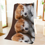 TLX-6373376 Portable Beach Towel for Dogs, 100% Polyester, Lightweight, 70x140cm, 80x160cm, Versatile Dog Accessory for Home and Travel - Image 4