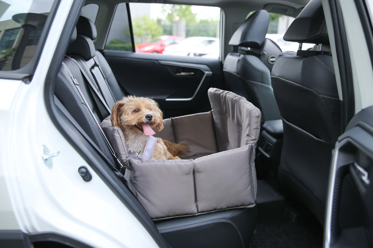 Waterproof foldable dog booster car seat   for small & medium dogs