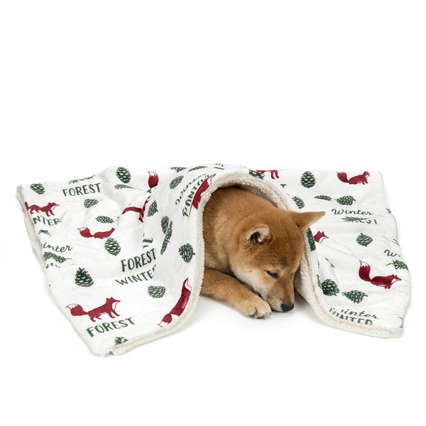 Waterproof Foldable Beach Blanket for Dogs