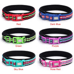 TLX-3462784 Padded Quick-Release Dog Trail Collar, Cotton Webbing, Colorful Buckle, Multiple Sizes and Colors - Image 4