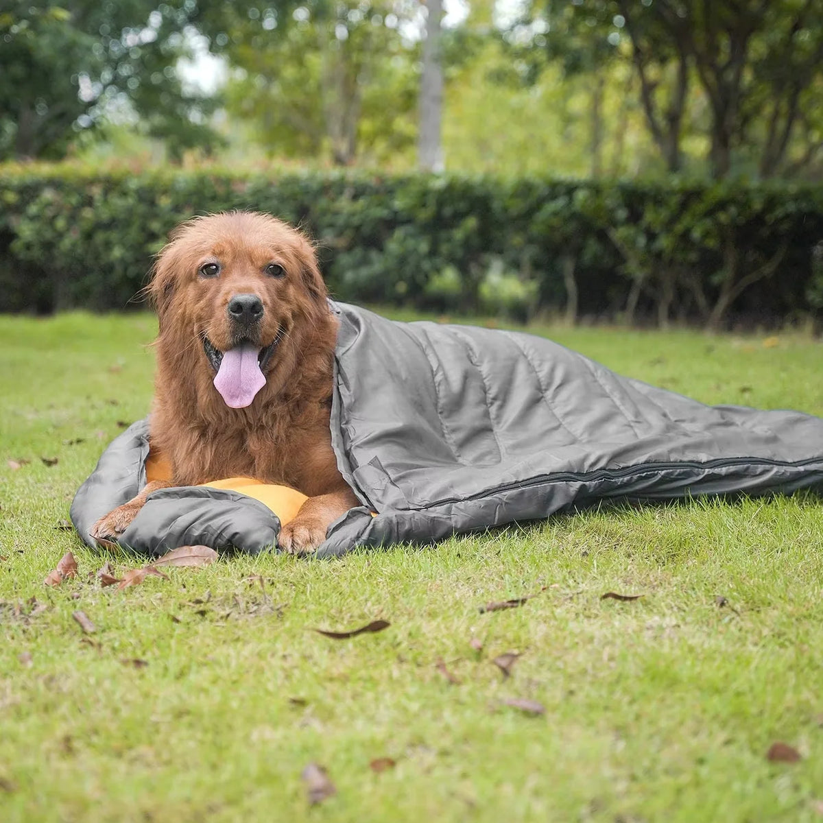 Waterproof portable dog sleeping bag
