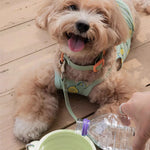 TLX-9060352 Waterproof Portable Dog Bowl, Practical Pet Supplies for Daily Use - Image 6