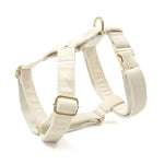 TLX-1851392 Breathable Mesh Vehicle Safety Harness for Dogs, Reliable Companion Gear for Adventures - Image 1