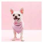 TLX-7198336 Cooling Bandana for Dogs - Polyester, Plaid Pattern, Blue/Pink/Yellow/Green, 5.8"x15.8 - Image 5