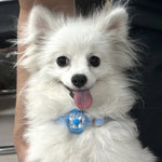 TLX-0147456 Waterproof Rechargeable LED Collar Light for Dogs, Silicone Material, Lightweight Design - Image 4