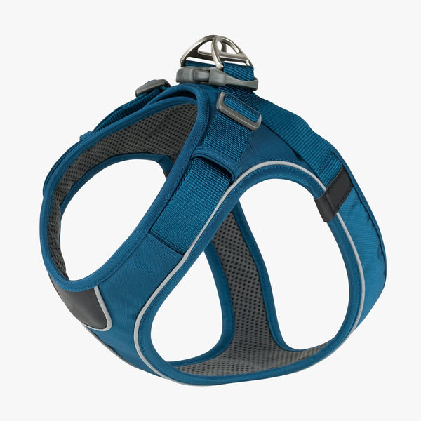 Reflective Padded Everyday Dog Harness - for Daily Walks